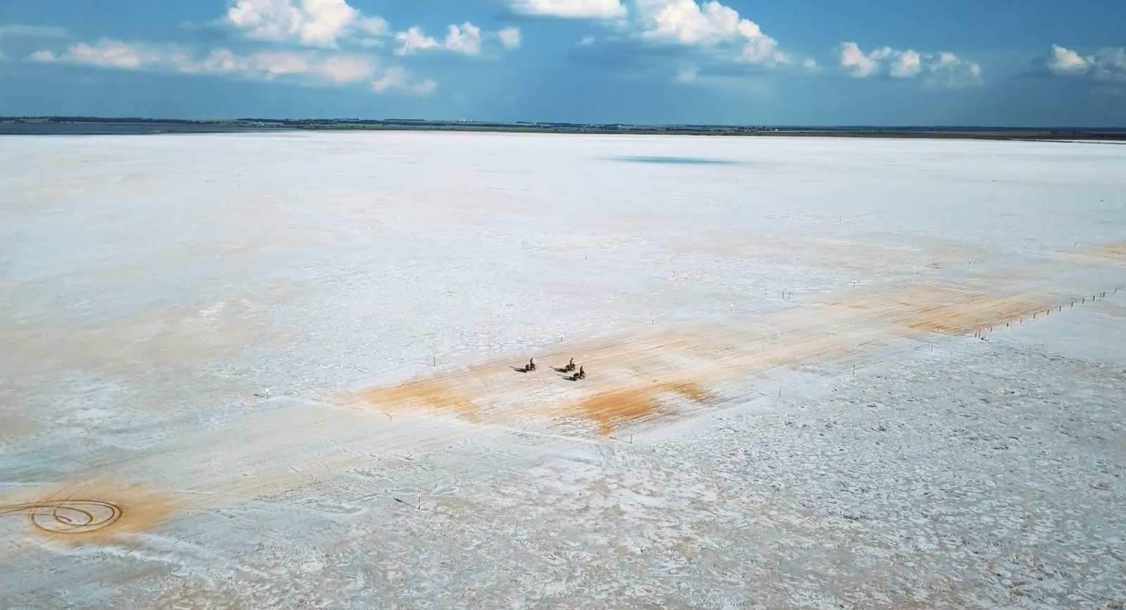 a couple of birds sitting on top of a sandy beach