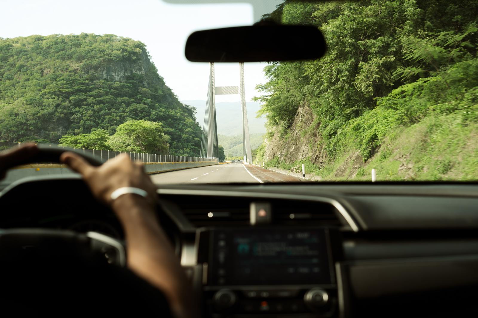 a man driving a car down a road next to a lush green forest