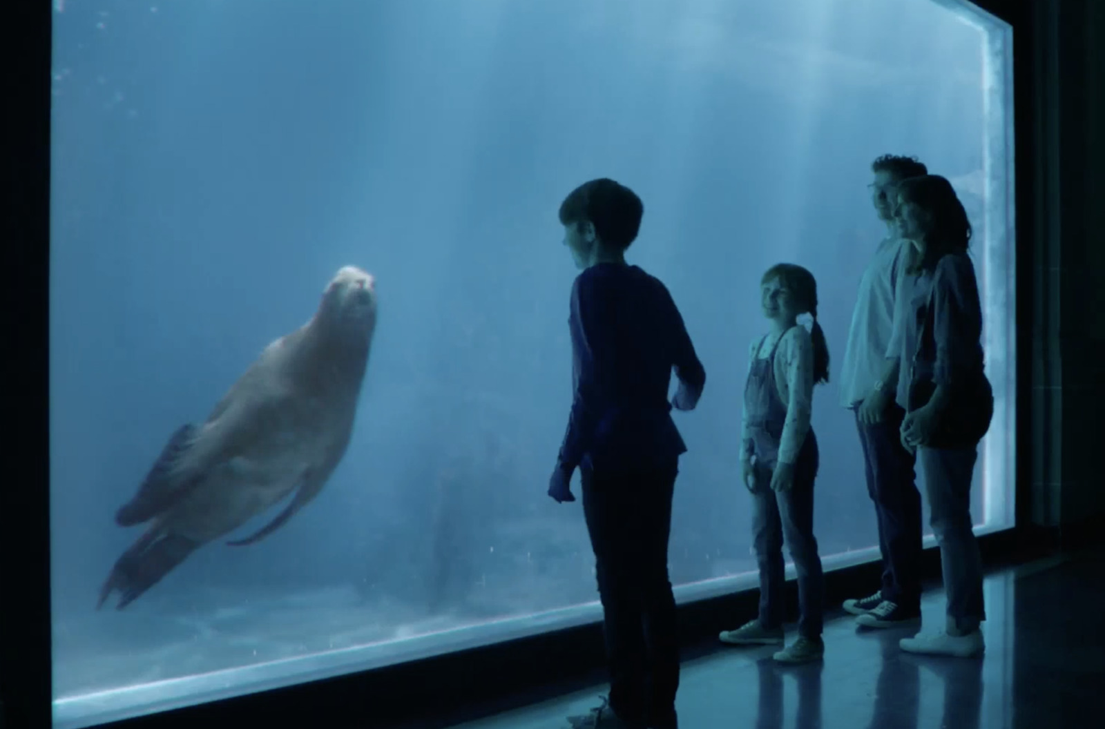 a group of people looking at a seal in an aquarium