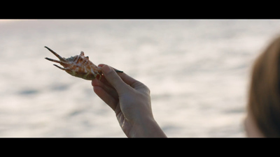 a person holding a sea shell in their hand