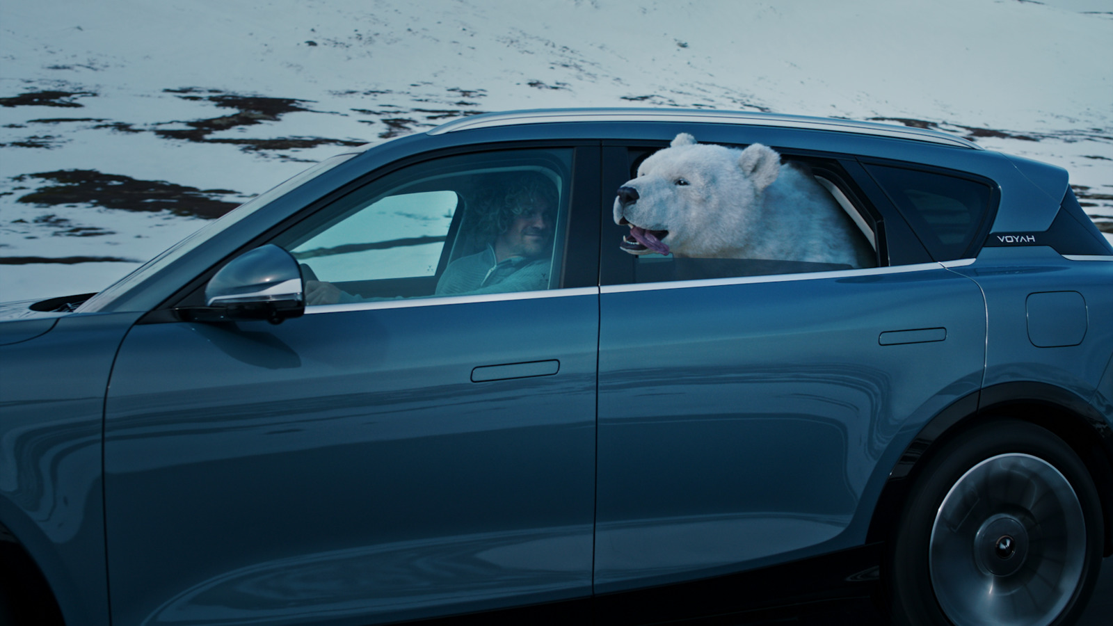 a polar bear sticking its head out of a car window