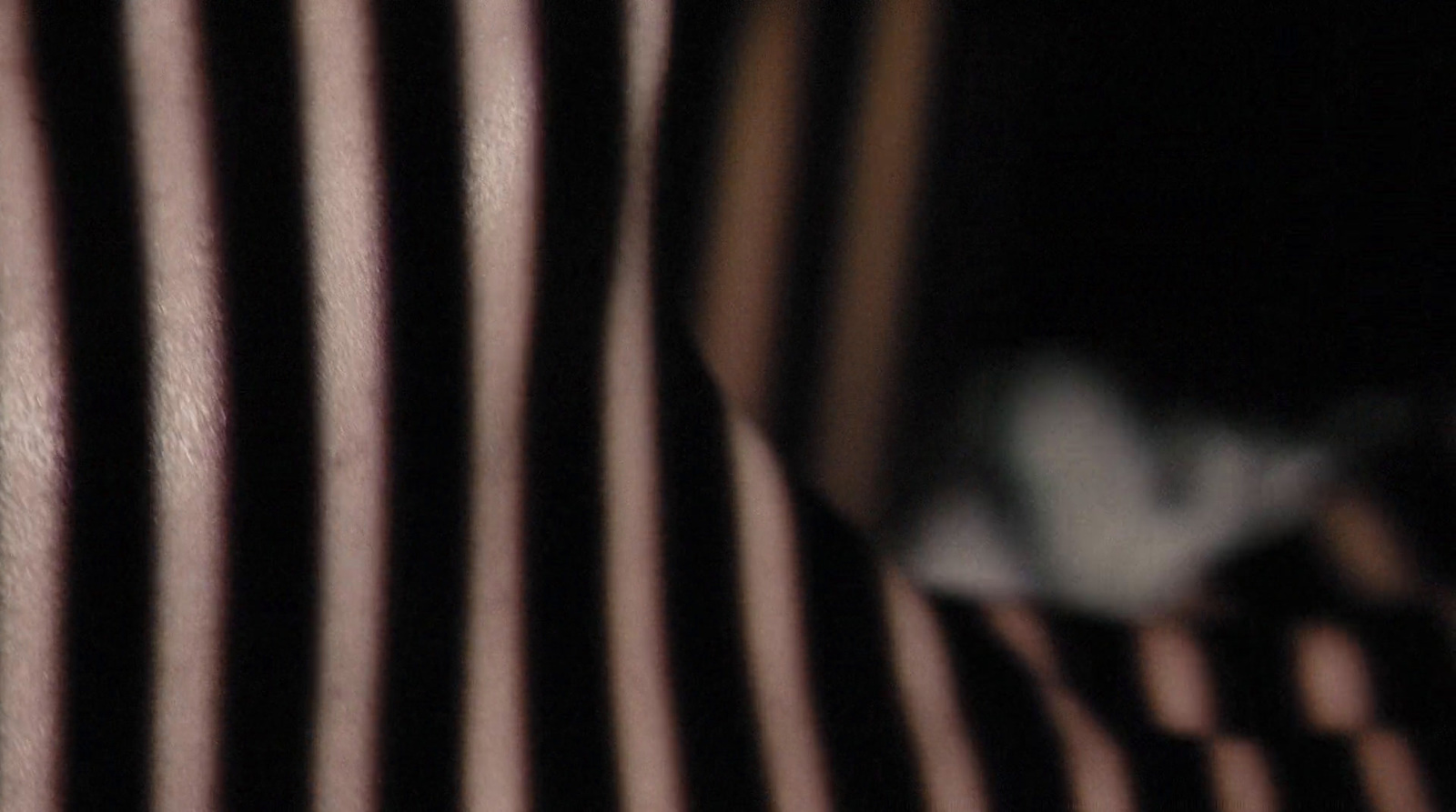 a close up of a black and white striped shirt