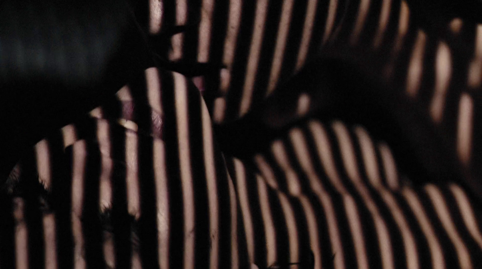 a close up of a person wearing a stripped shirt