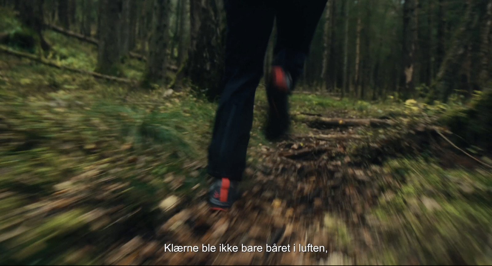 a blurry photo of a person walking in the woods