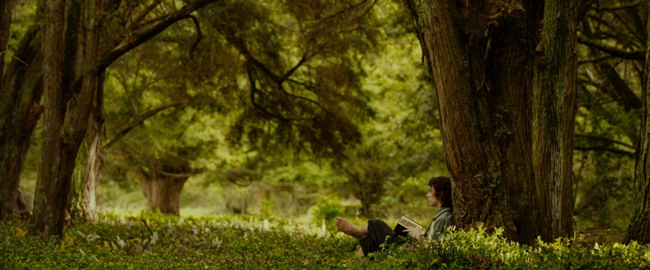 a woman sitting in the woods reading a book