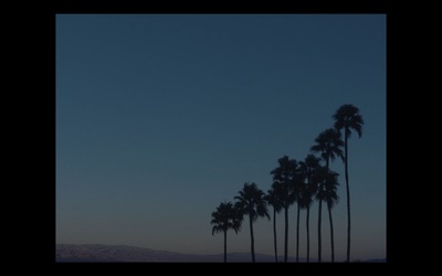 a row of palm trees in front of a blue sky