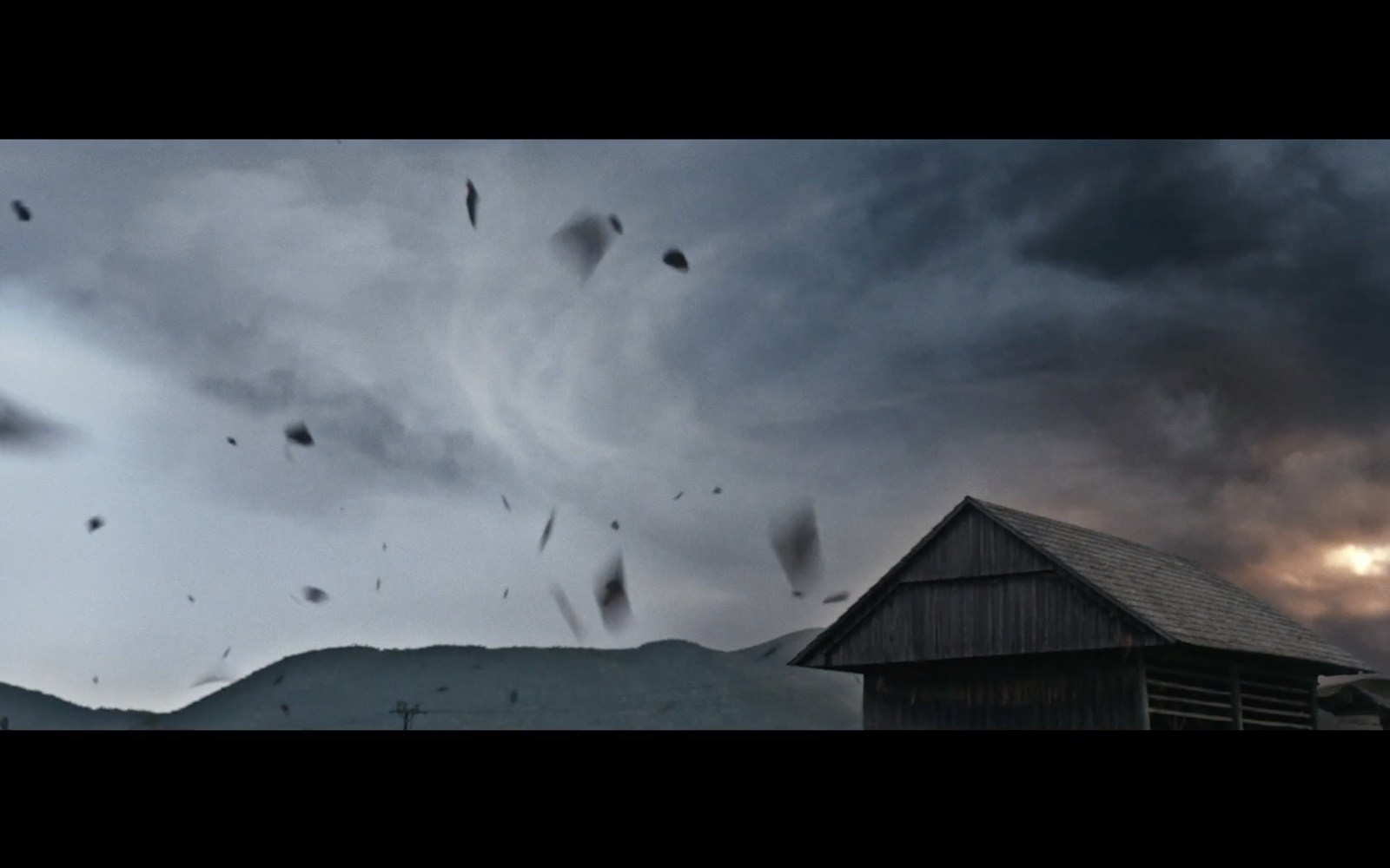 a group of birds flying over a building under a cloudy sky