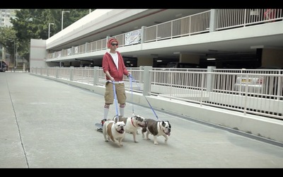 a man walking three dogs on a leash