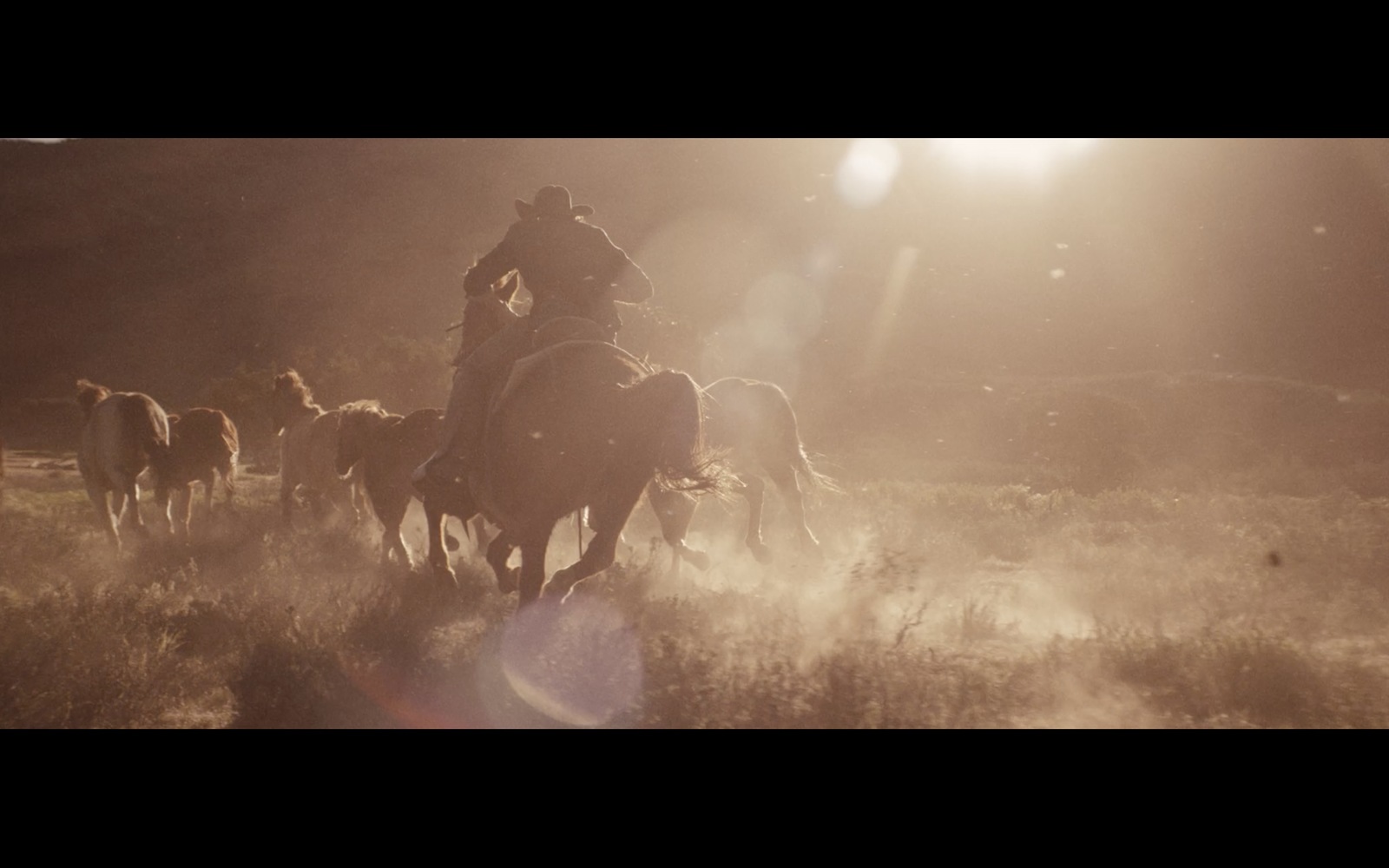 a group of people riding horses through a field