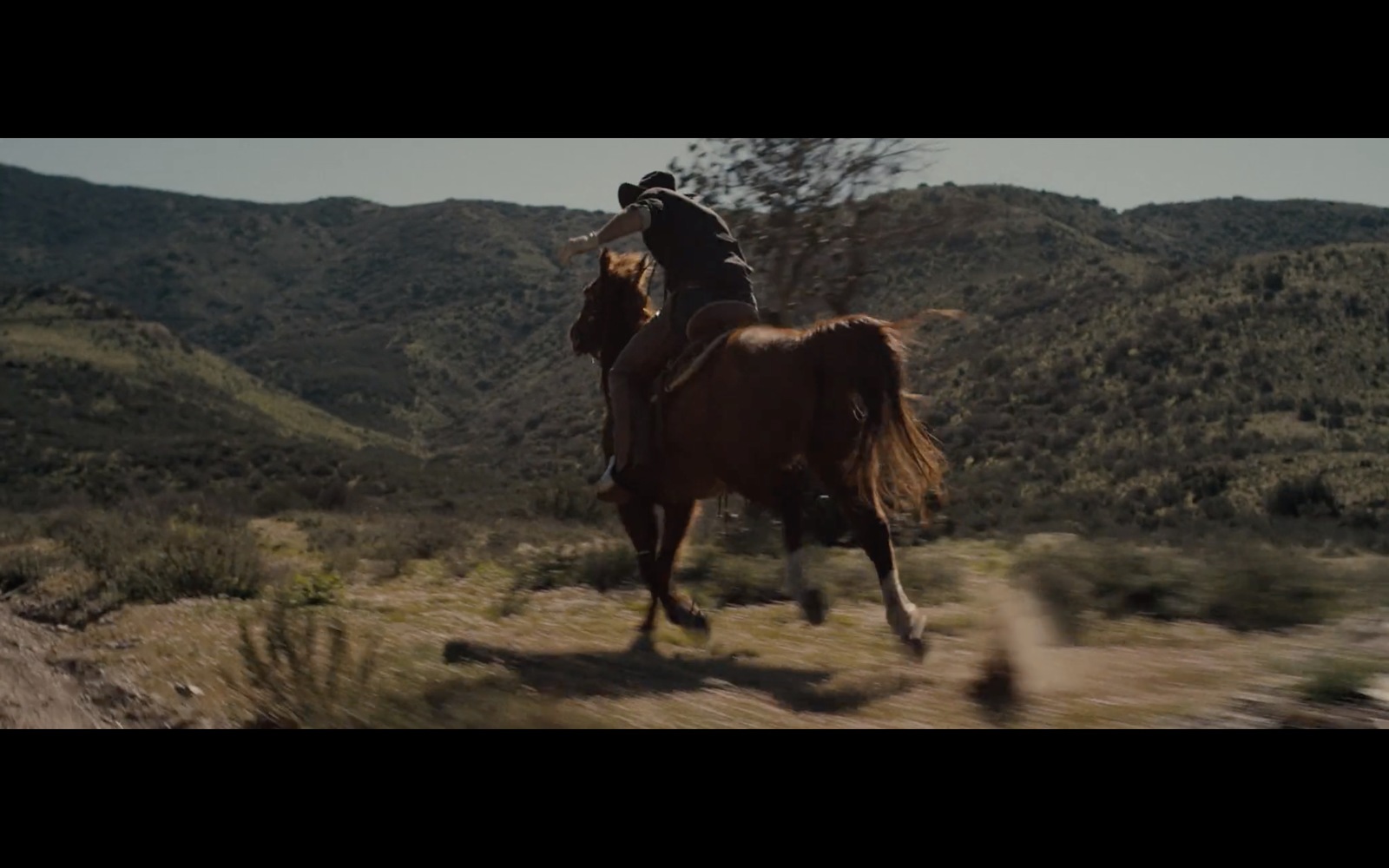 a man riding on the back of a brown horse