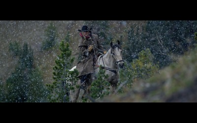 a man riding on the back of a white horse