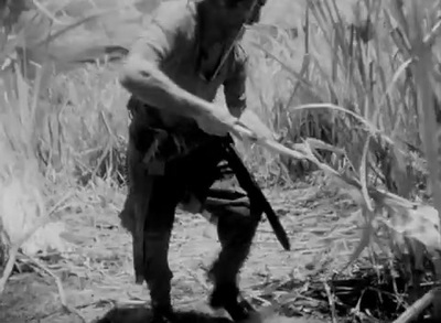 a man holding a rifle in a field