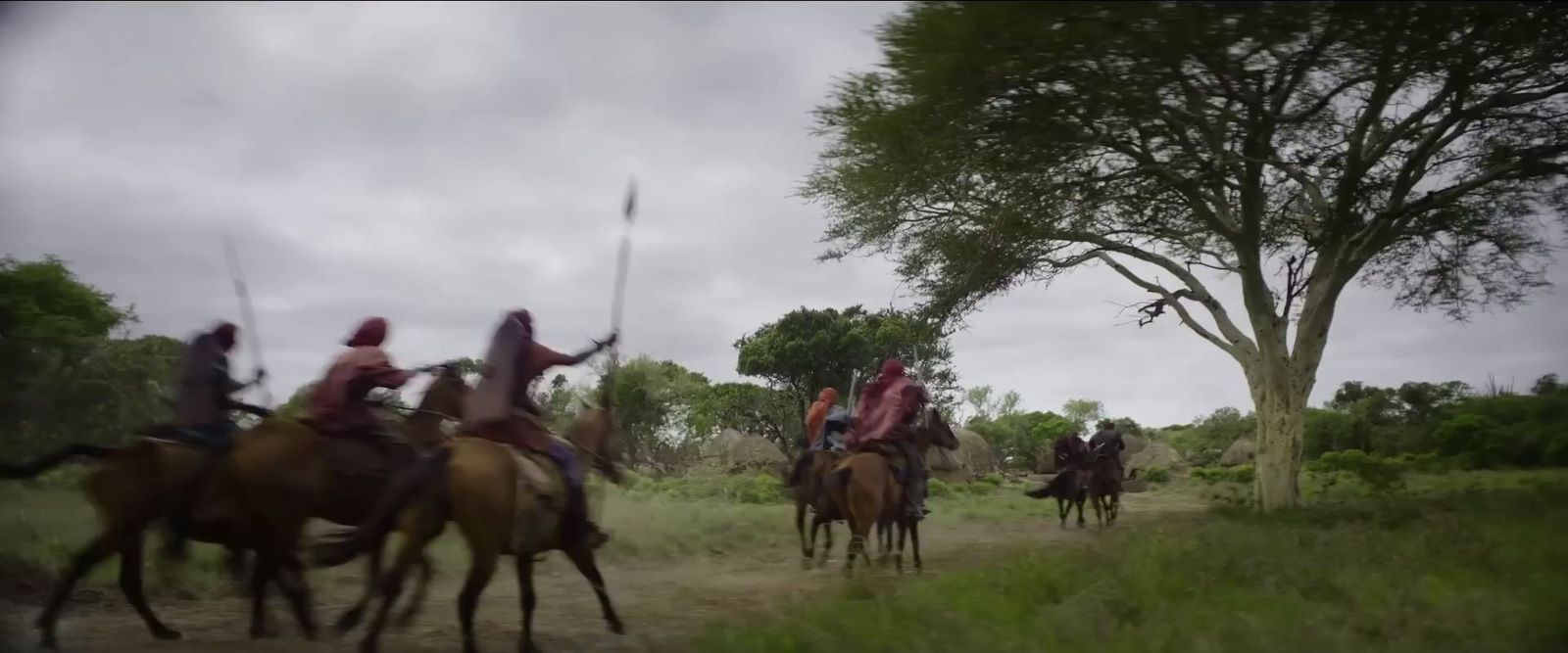 a group of people riding on the backs of horses