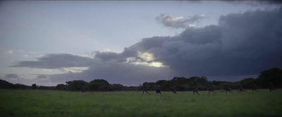 a group of people running across a lush green field