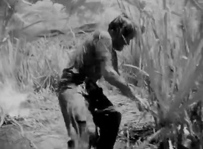 a man kneeling down next to a dog in a field