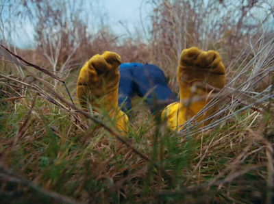 a yellow and blue stuffed animal laying in the grass