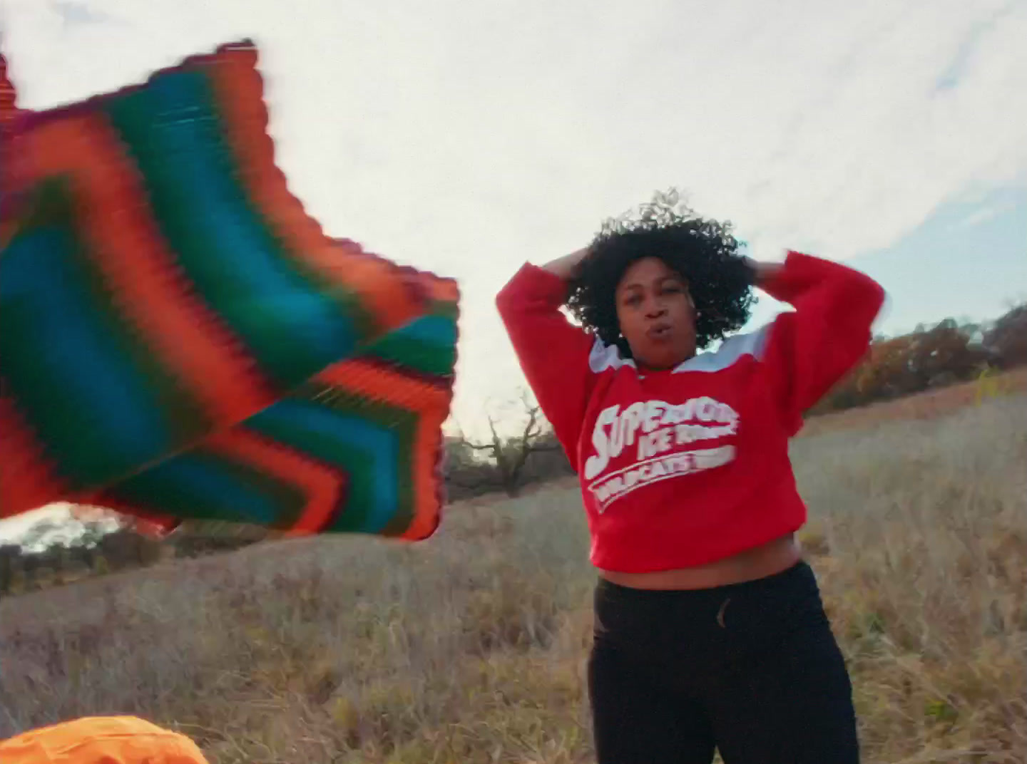 a woman standing in a field holding a kite