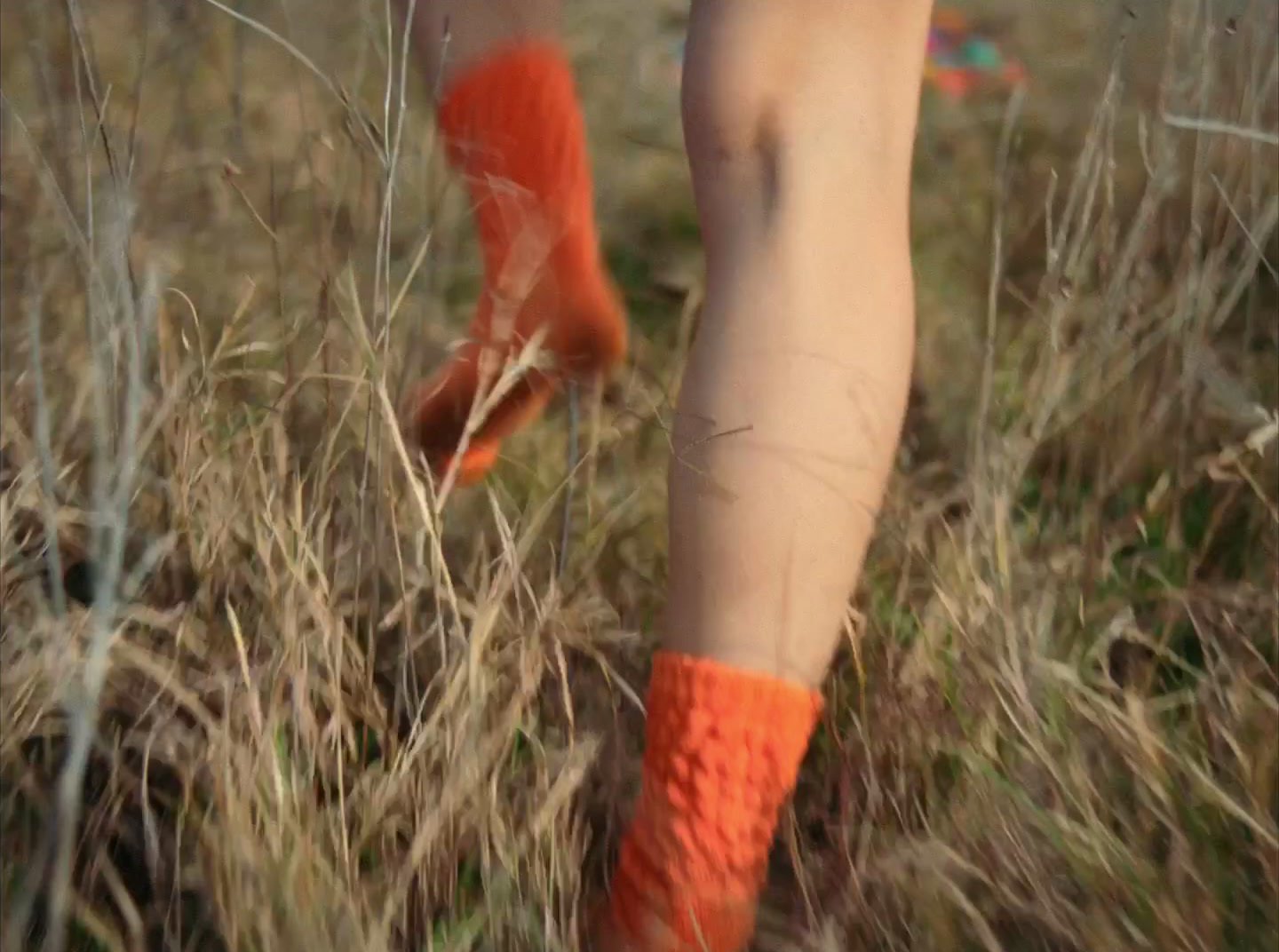 a person with orange socks walking through a field