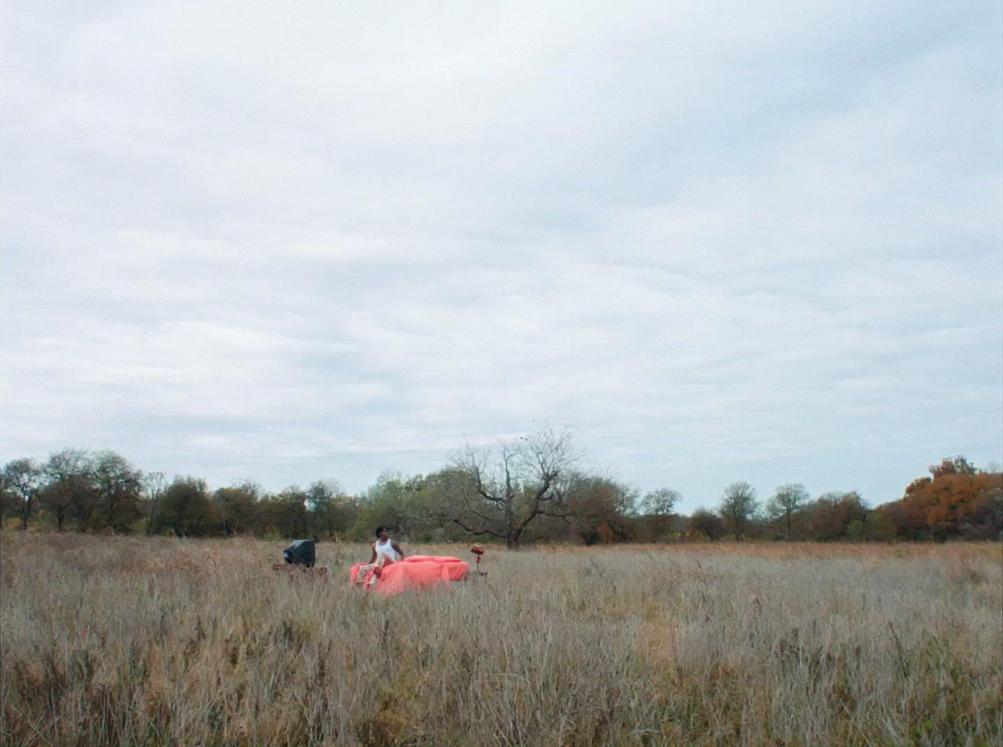 a group of people standing in a field