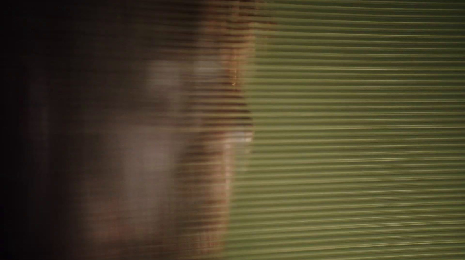 a blurry image of a woman's face in a window