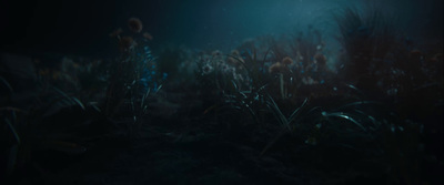 an underwater scene of a grassy field at night