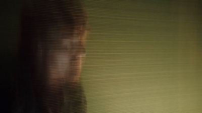 a blurry image of a woman's face behind blinds