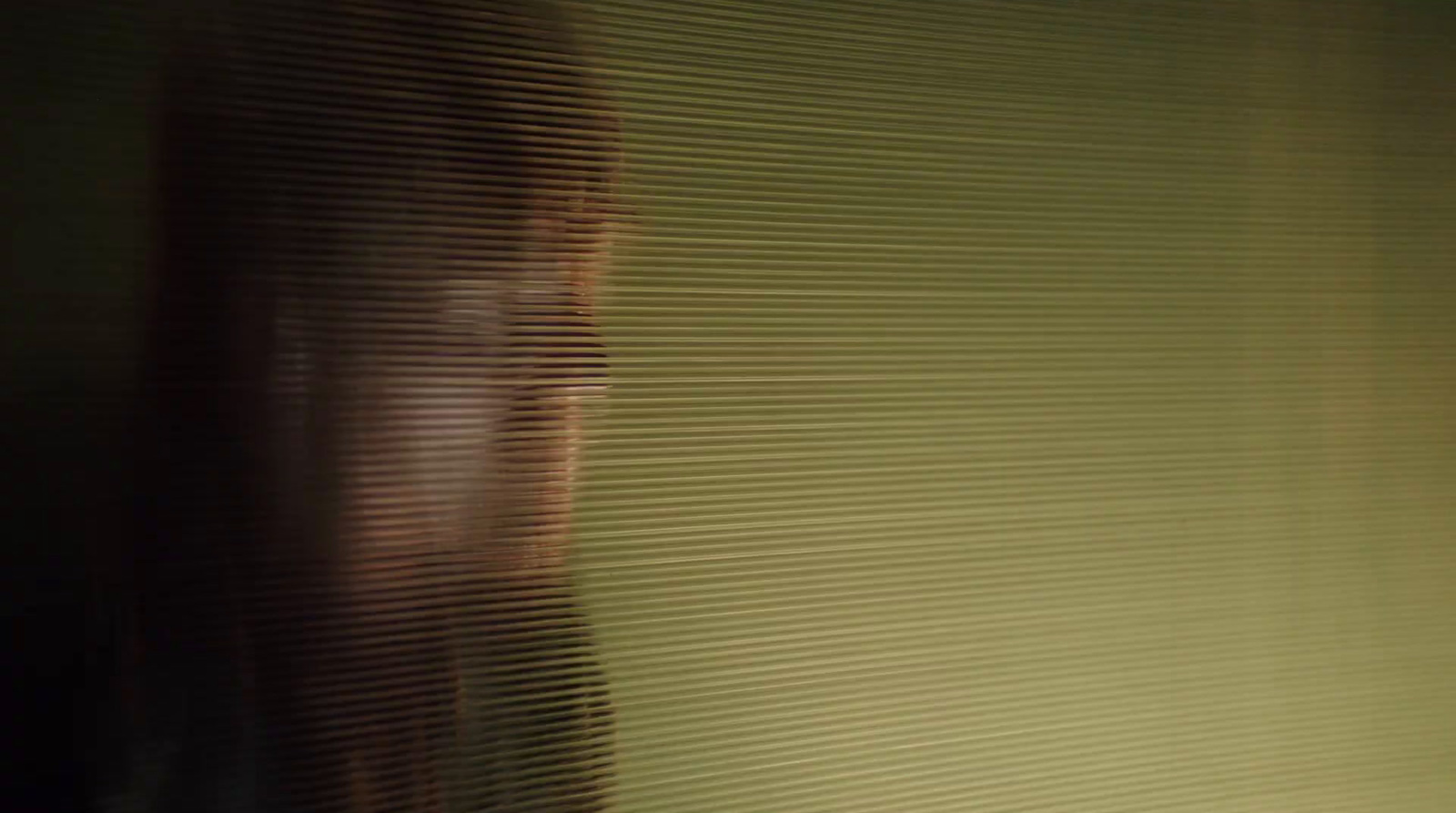 a blurry image of a woman's face behind blinds