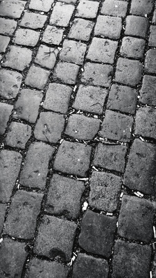 a black and white photo of a cobblestone street