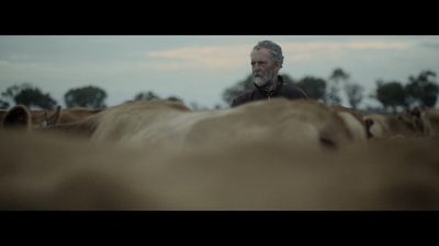 a man standing in the middle of a herd of sheep