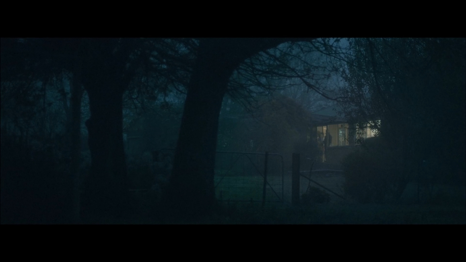 a house in the dark surrounded by trees