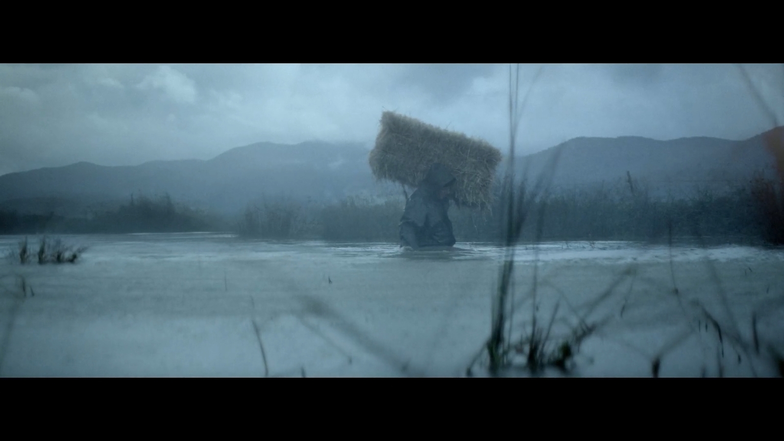 a man carrying a large load of hay across a field