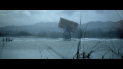 a man carrying a large load of hay across a field