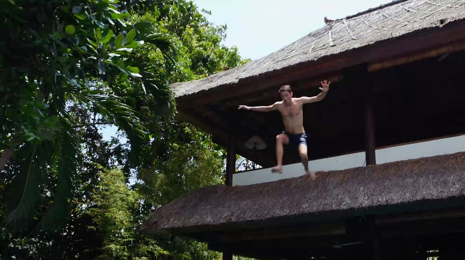 a man standing on top of a roof next to a lush green forest