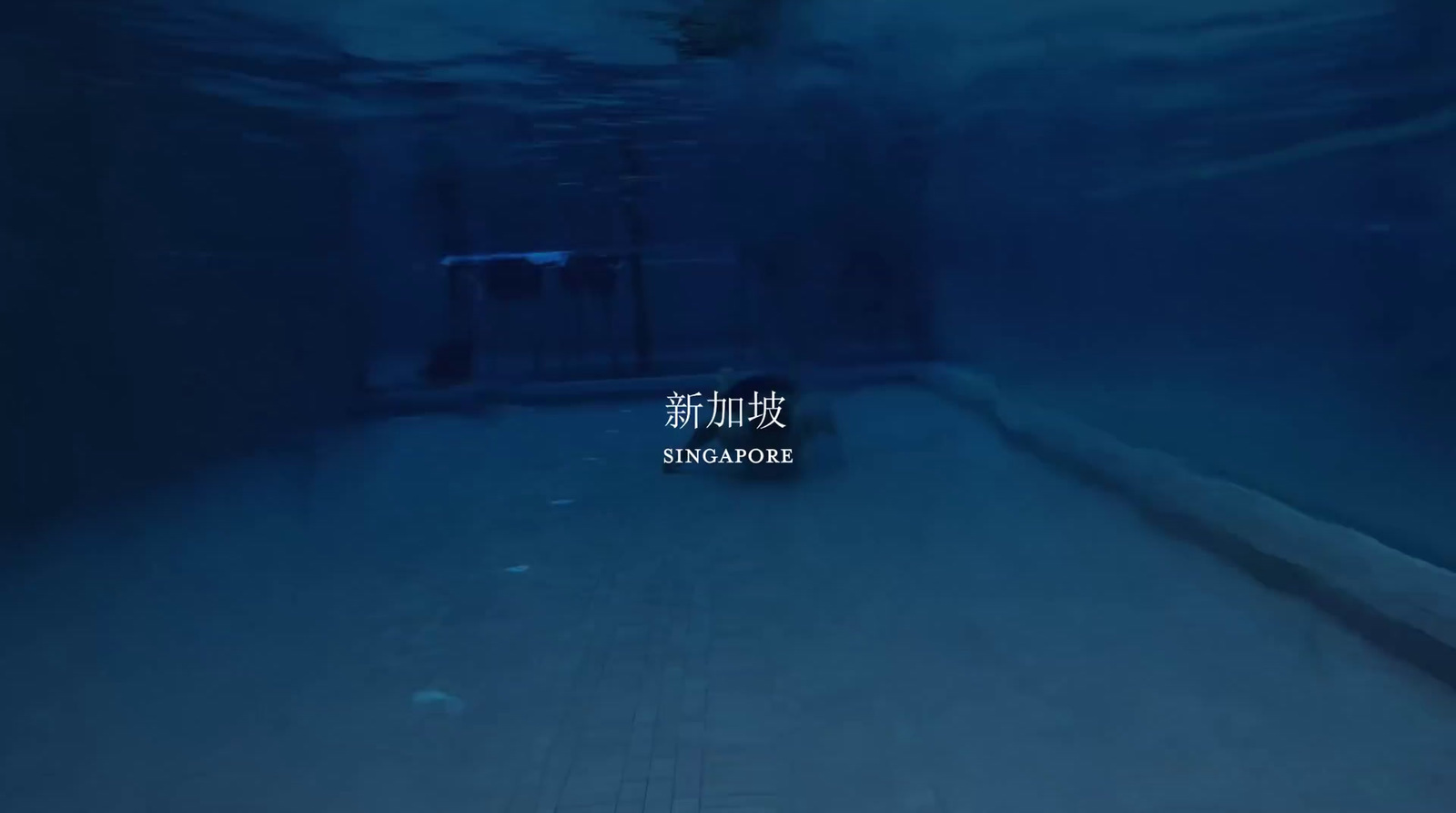 a picture of a swimming pool in a chinese language