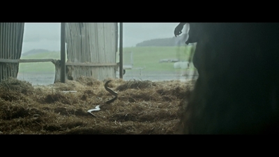 a barn with hay in the foreground and a horse in the background