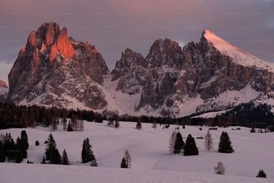 a mountain range covered in snow with trees in the foreground