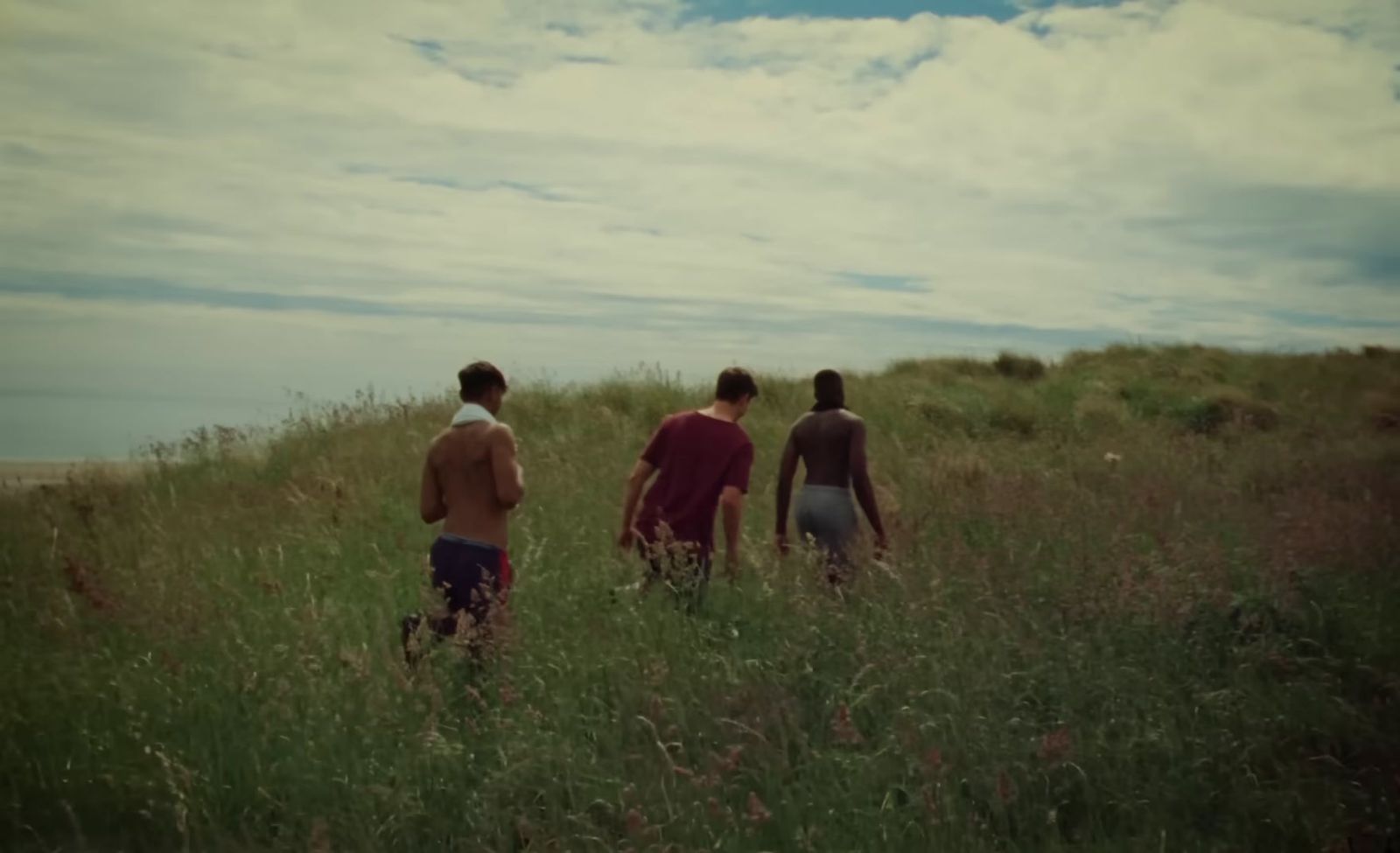 three young men are walking through tall grass