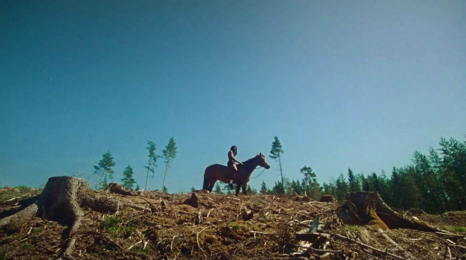 a person riding a horse on top of a hill