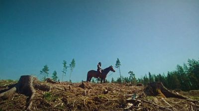 a person riding a horse on top of a hill