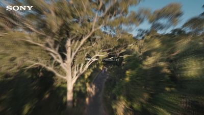 a blurry photo of a road surrounded by trees