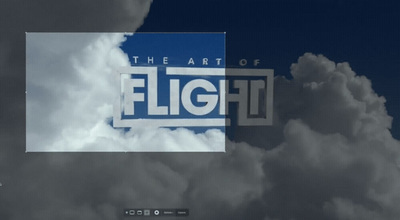 the art of flight