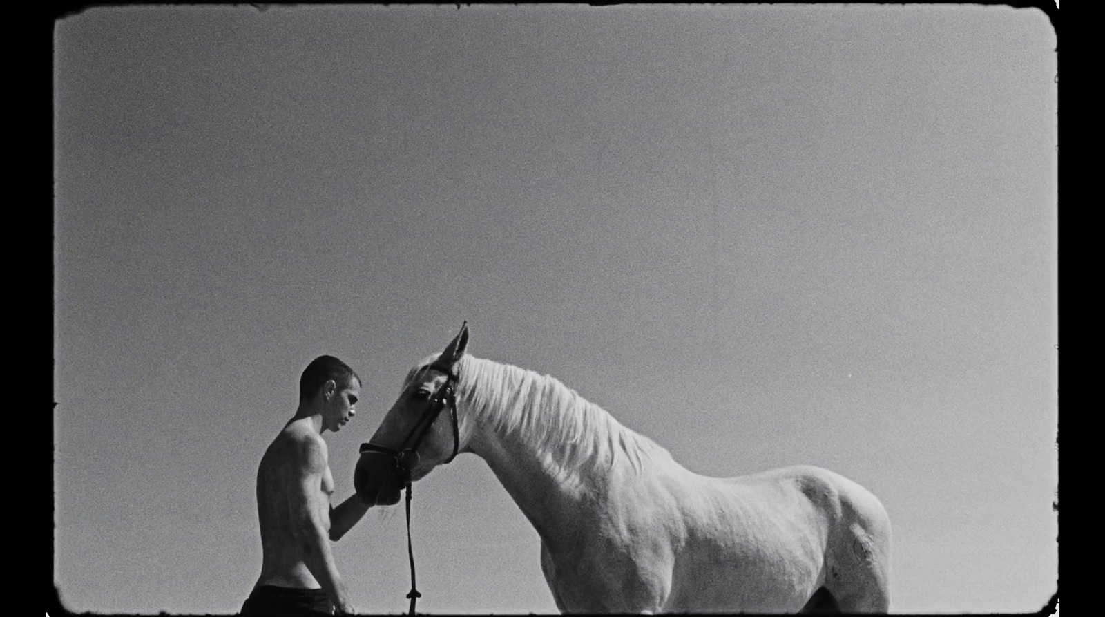 a man standing next to a white horse