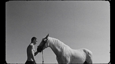 a man standing next to a white horse