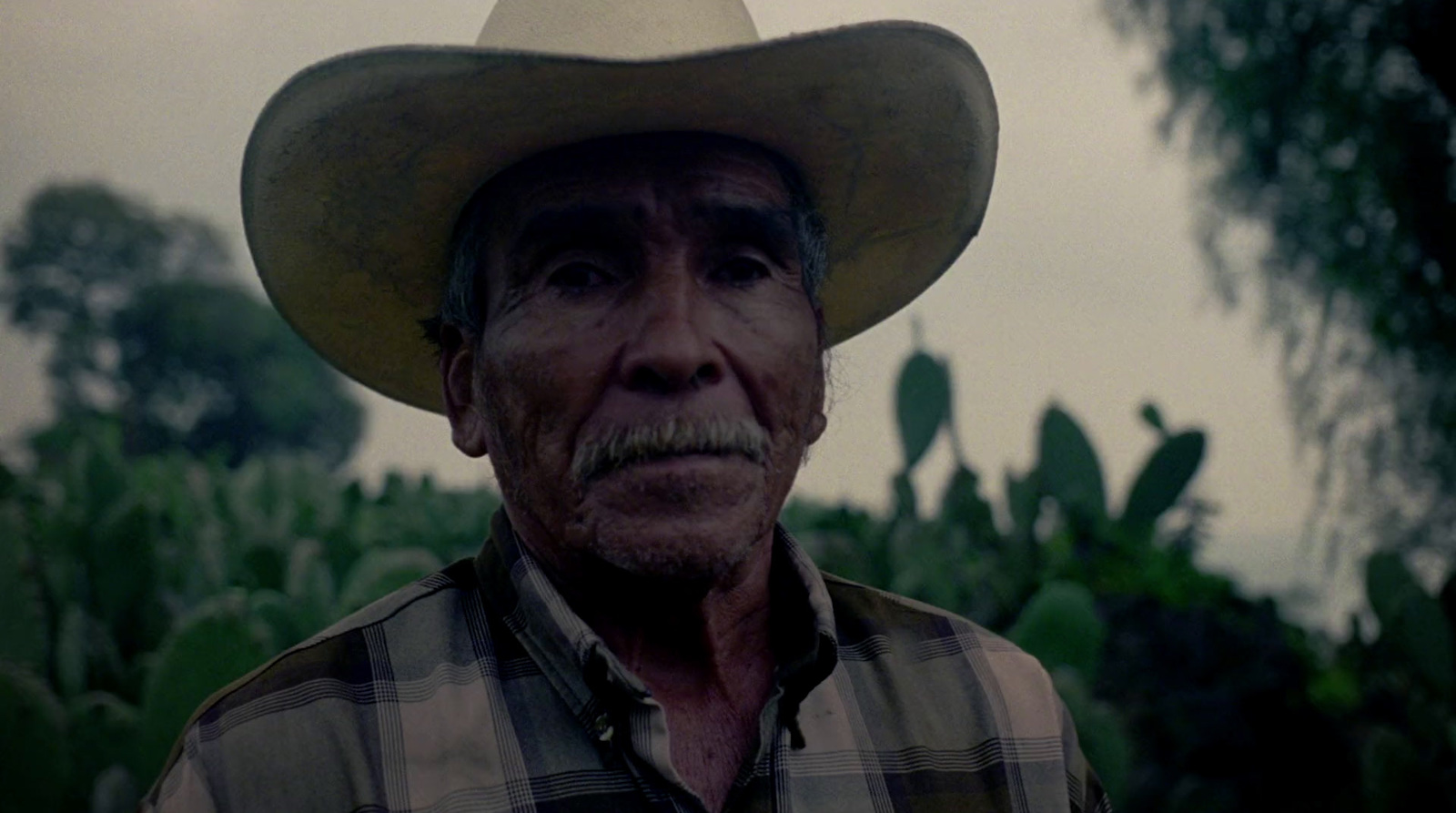 a man wearing a cowboy hat standing in a field