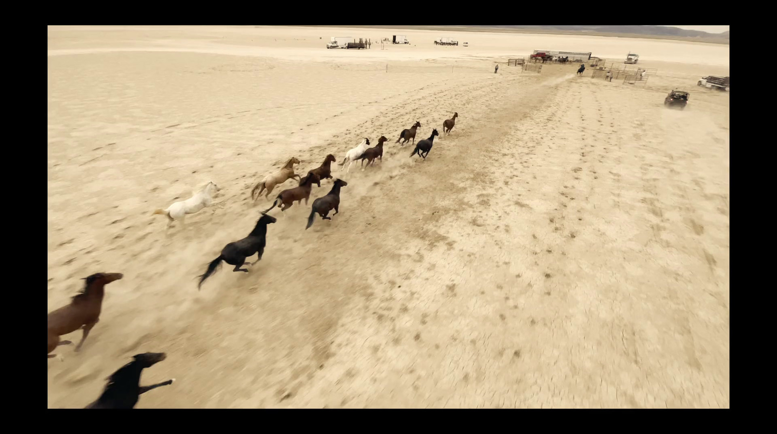 a herd of horses running across a sandy field