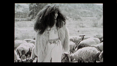 a woman standing in front of a herd of sheep