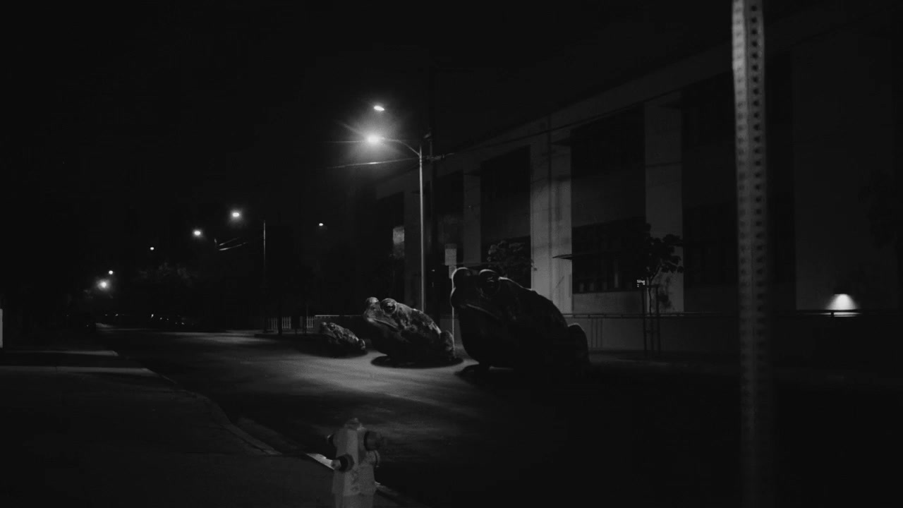 a black and white photo of a street at night