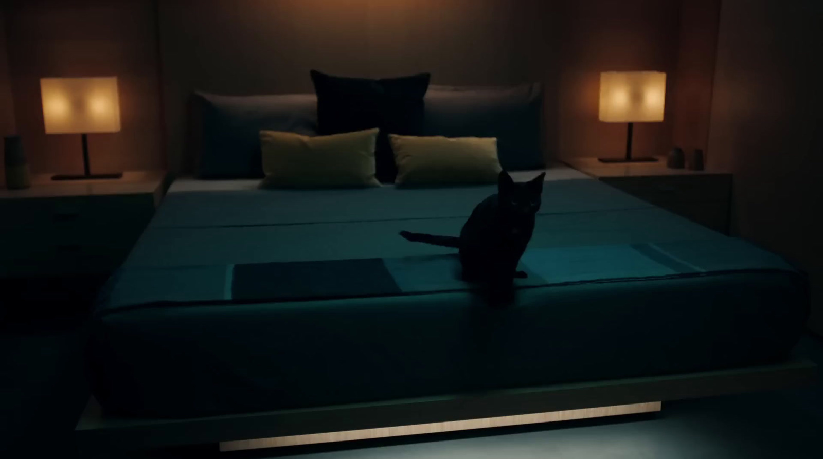 a cat sitting on top of a bed in a dark room