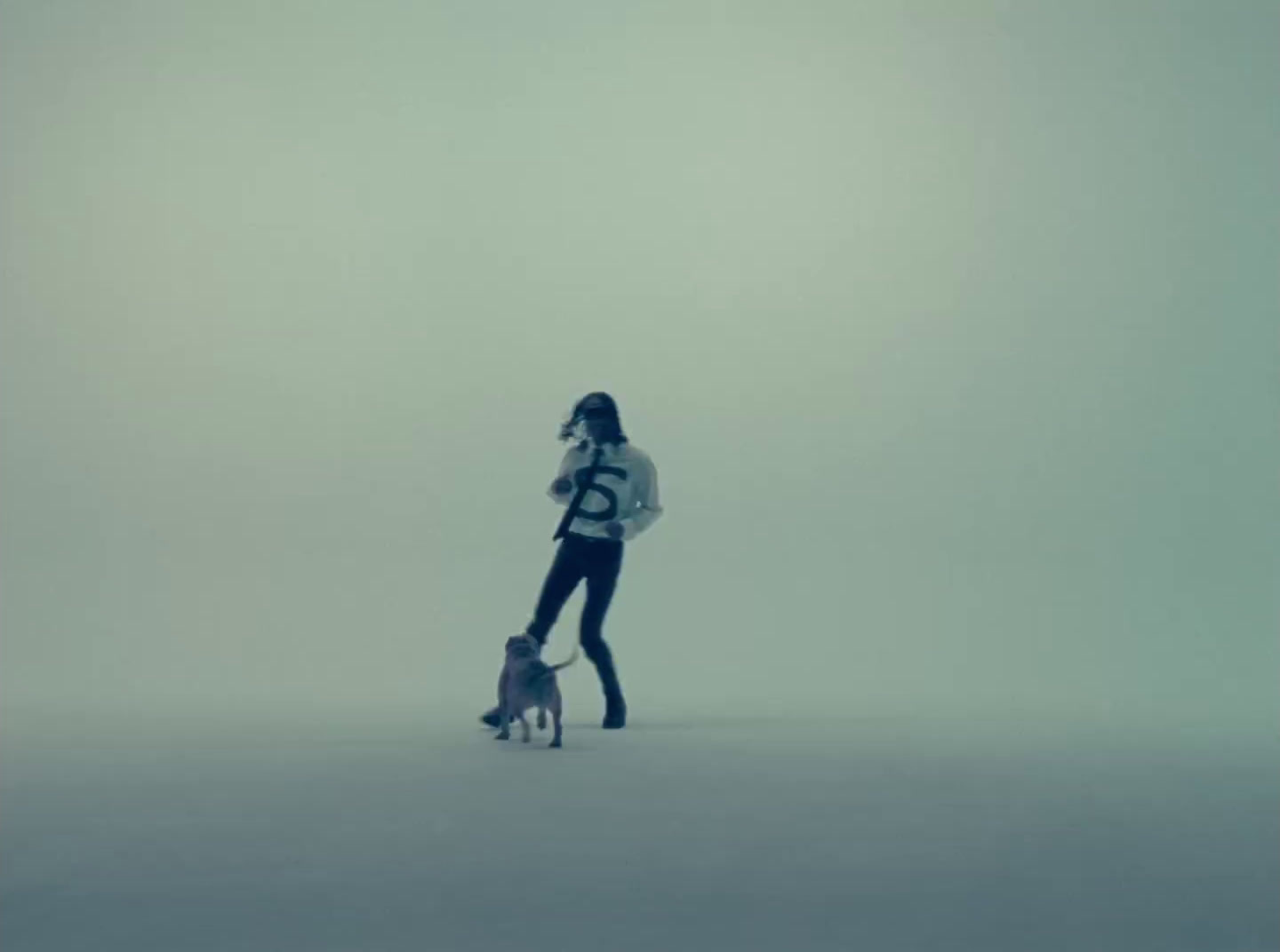 a woman is walking her dog in the fog