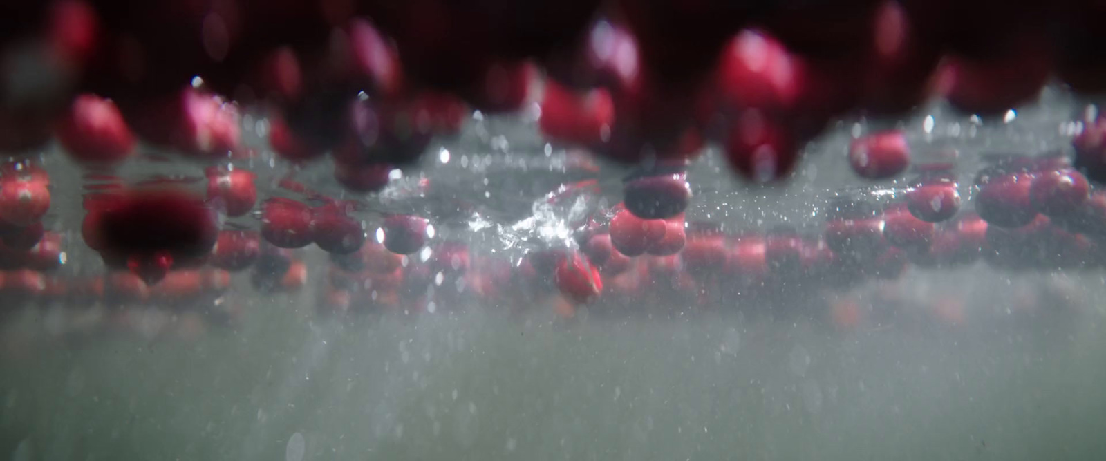 a group of red balls floating on top of a body of water